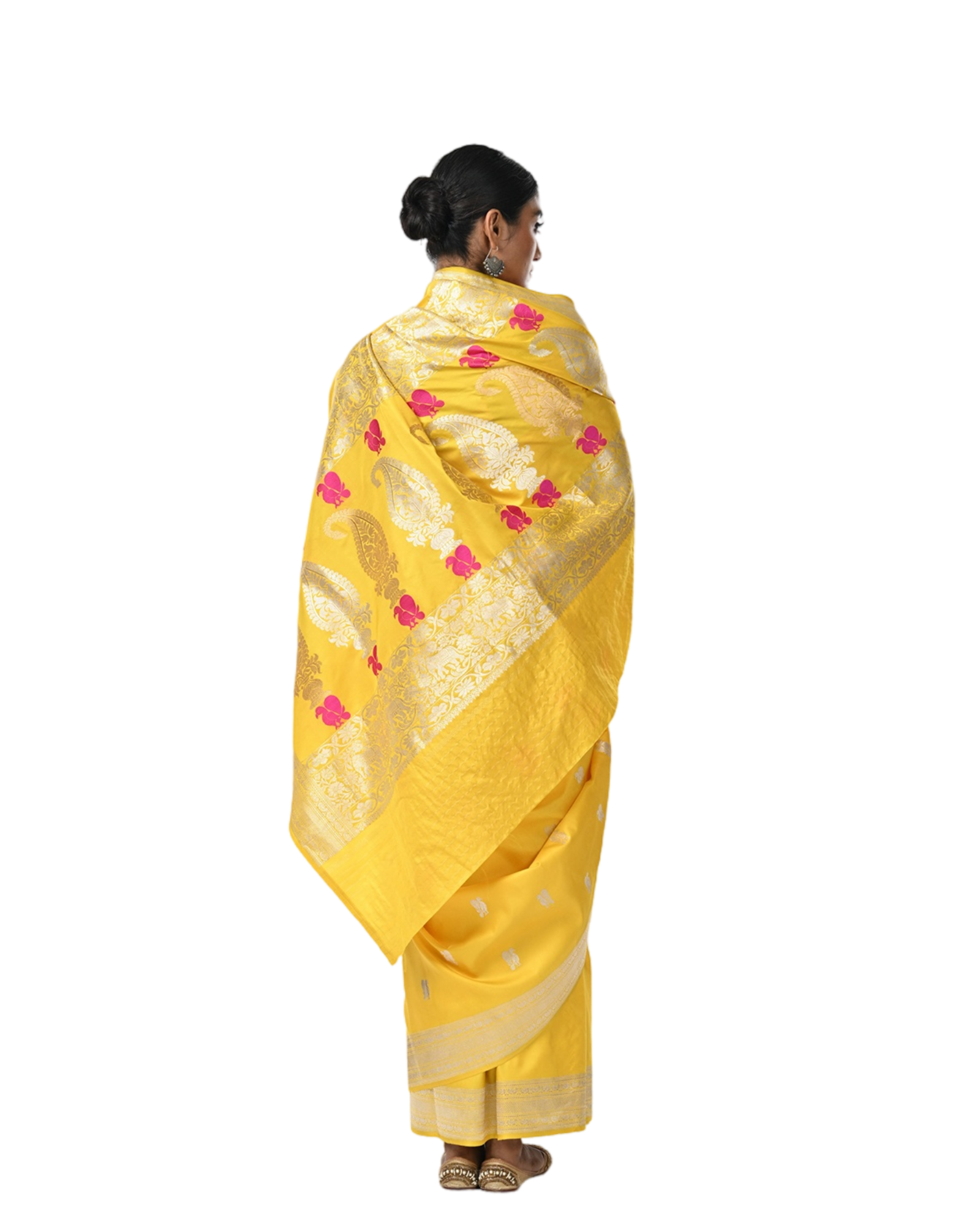 Mayur - Coloroso
