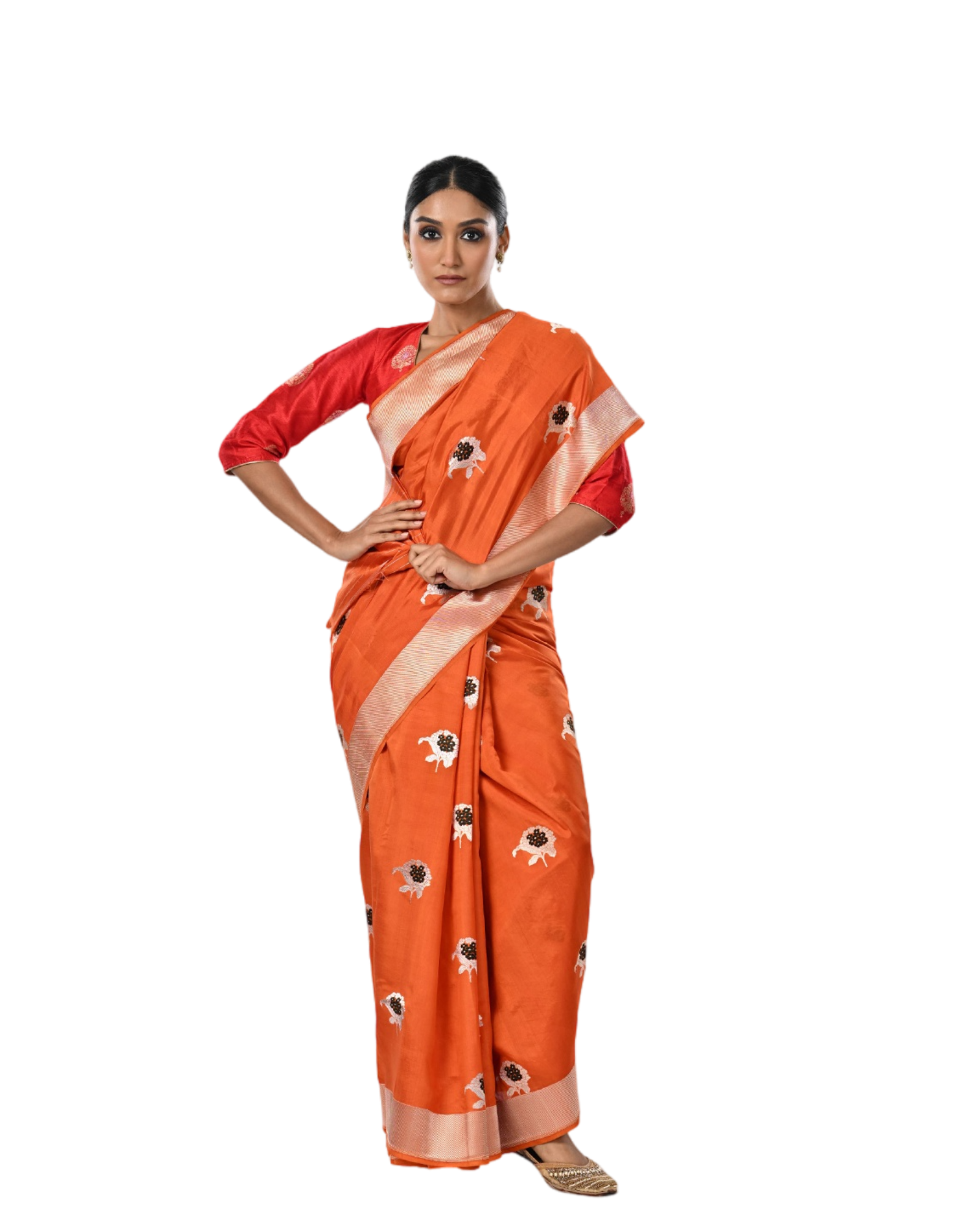 Vadamalli - Coloroso