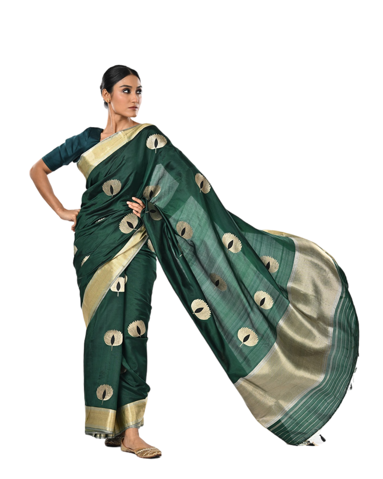 Vadamalli - Coloroso