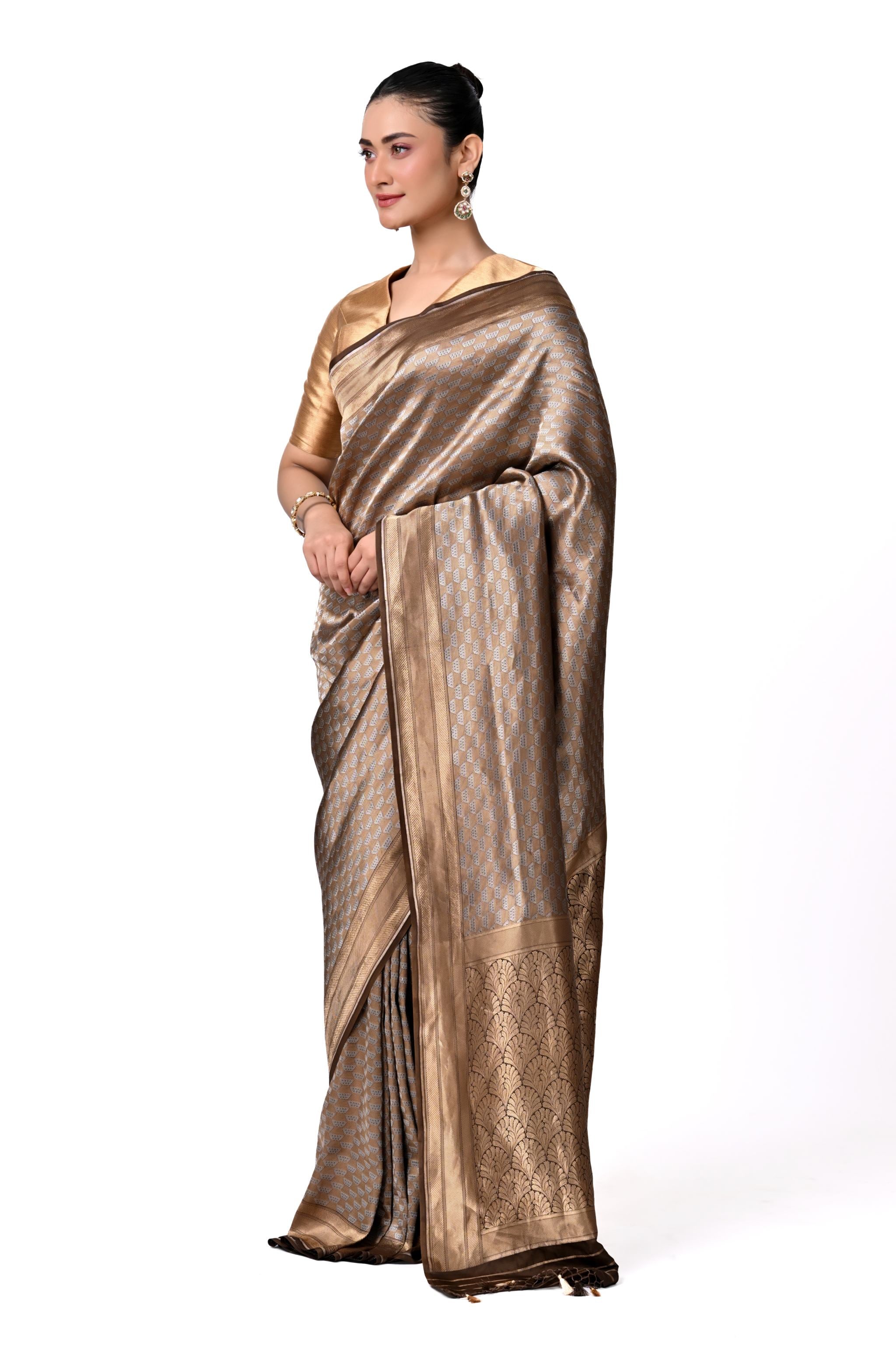 Gold & Silver Brocade Saree
