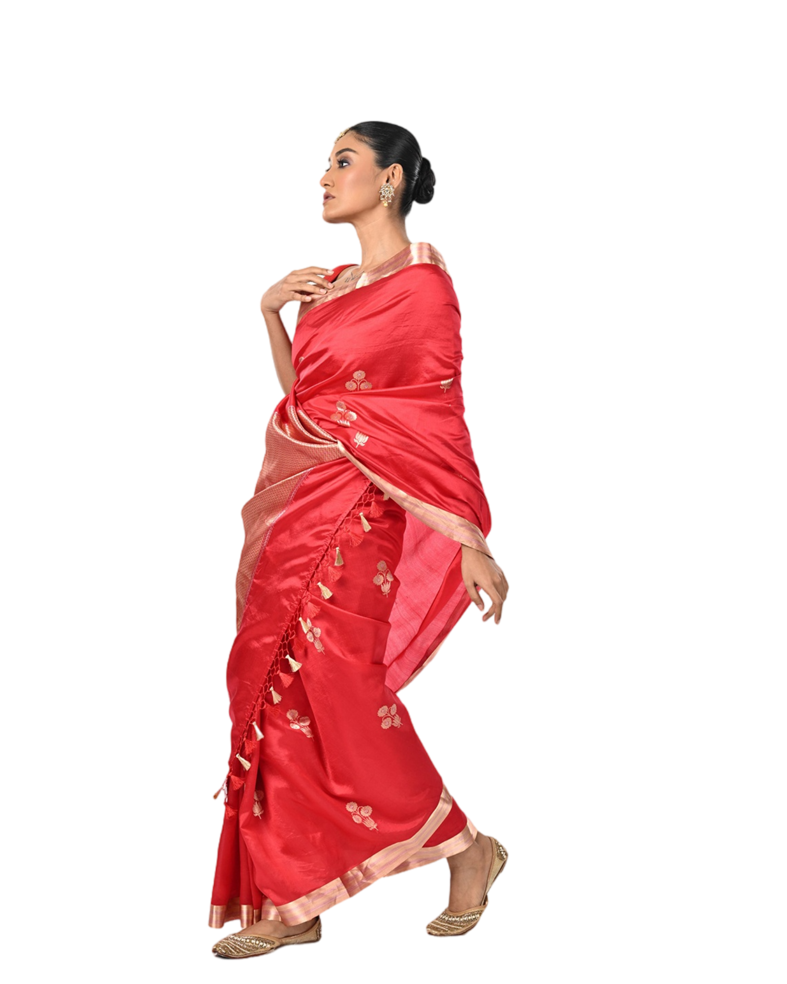 Vadamalli - Coloroso