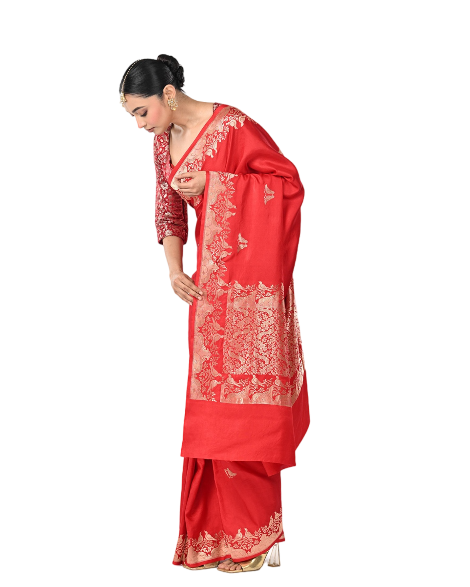 Prem Pakshi - Coloroso