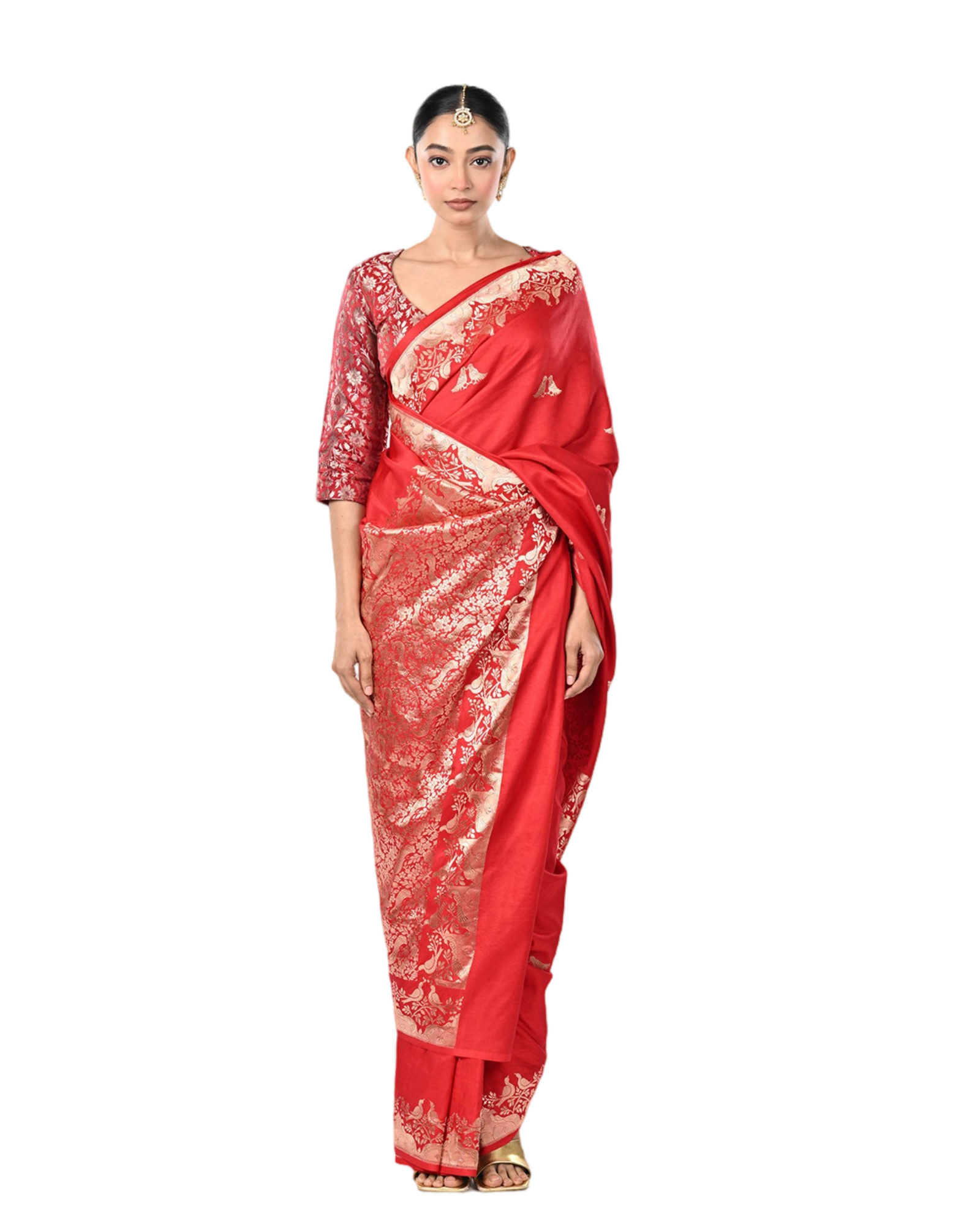 Prem Pakshi - Coloroso